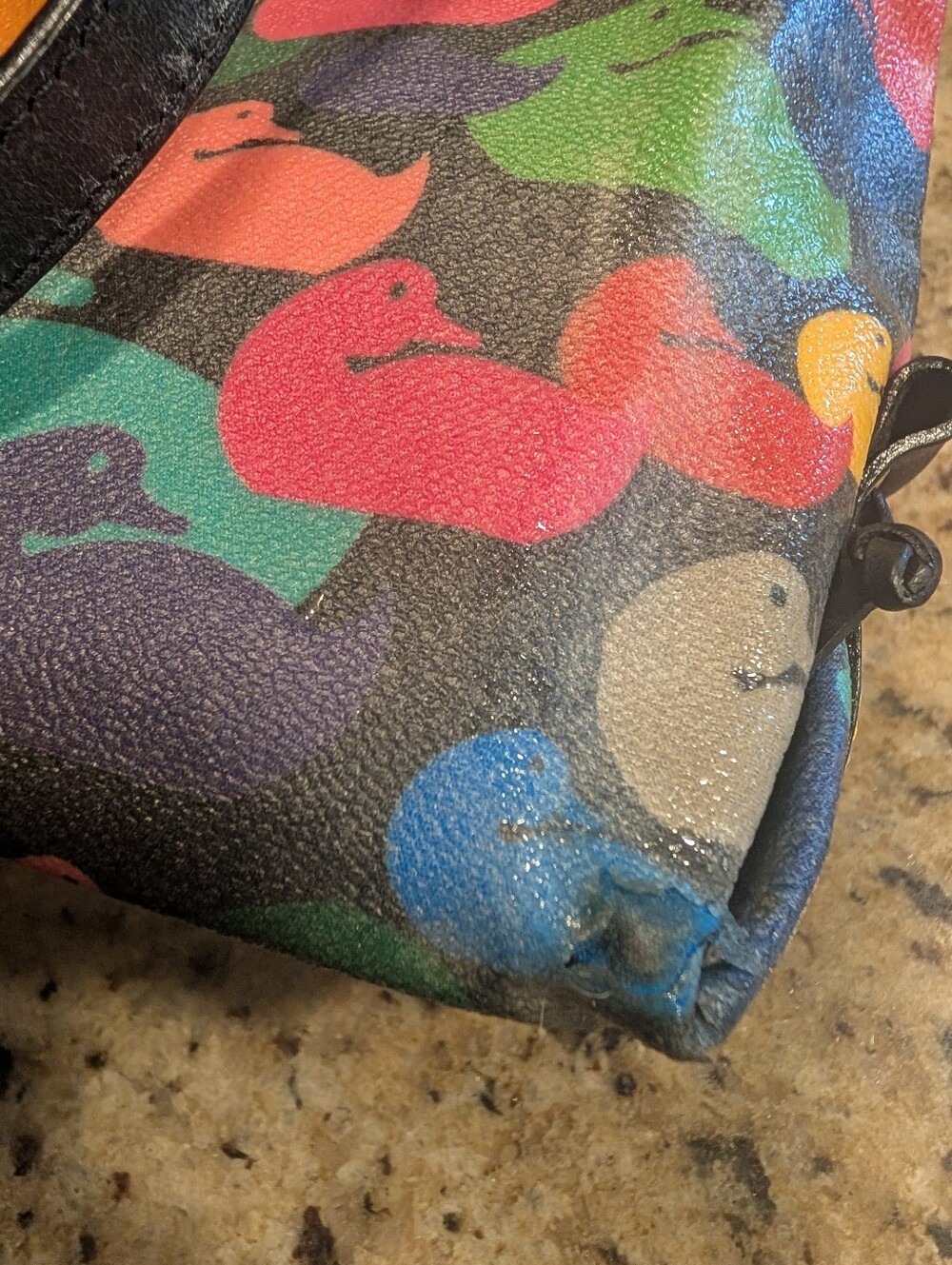 Dooney And Bourke Vintage Rainbow Duck - Picture 9 of 12